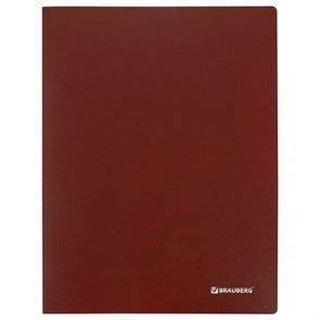 Папки с вкладышами (файлами)