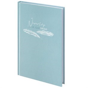 Блокноты, записные книжки и тетради