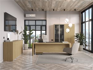 Кабинет Premium