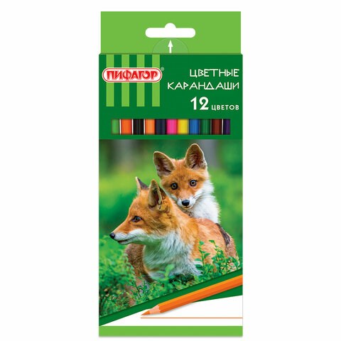 Карандаши цветные ПИФАГОР "ЛЕСНЫЕ ЖИТЕЛИ", 12 цветов, шестигранные, 181334 181334