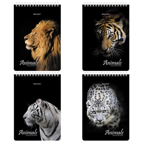 Блокнот А5 (146х206 мм), 80 л., гребень, картон, жесткая подложка, клетка, BRAUBERG, "Хищники", 114385 114385