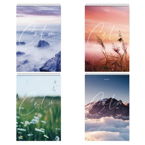 Блокнот БОЛЬШОЙ ФОРМАТ А4 198х297 мм, 80 л., гребень, жесткая подложка, клетка, BRAUBERG, "Calm", 114357 114357