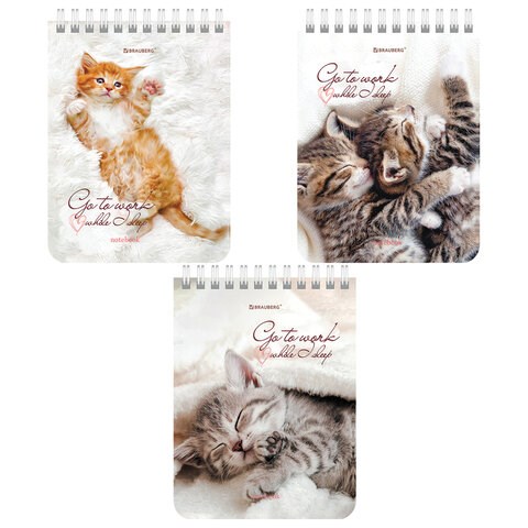 Блокнот МАЛЫЙ ФОРМАТ А6 108х145 мм, 40 л., гребень, картон, клетка, BRAUBERG, "Милые котята", 114391 114391