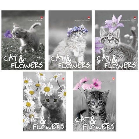 Блокнот МАЛЫЙ ФОРМАТ А6, 40 л., гребень, ламинированный картон, клетка, Альт, "Котята", (5 видов), 3-40-028 111288