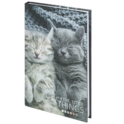 Блокнот А5 (134х206 мм), 80 л., твёрдый, клетка, STAFF, "Котики", 114413 114413