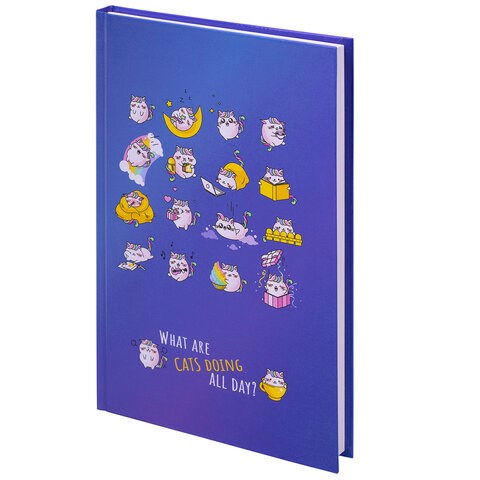 Блокнот А5 (134х206 мм), 80 л., твёрдый, клетка, BRAUBERG KIDS, "Радужные котики", 114417 114417