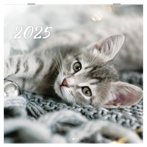 Календарь настенный перекидной на 2025 г., BRAUBERG, 12 листов, 29х29 см, "Милые котики", 116164 116164