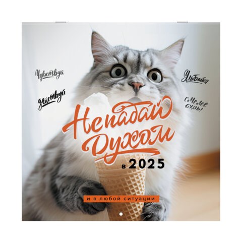 Календарь настенный перекидной на 2025 г., BRAUBERG, 12 листов, 29х29 см, "Не падай духом", 116163 116163