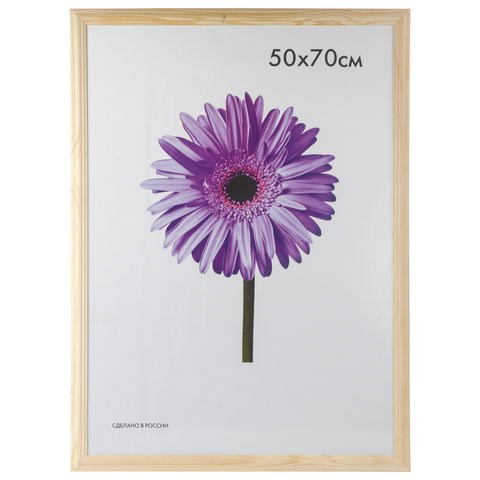 Рамка премиум 50х70 см, дерево, багет 26 мм, "Linda", светлое дерево, 0065-50-0000 390805