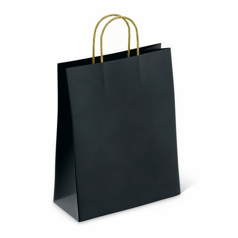 Крафт-пакет бумажный "Black" 26х15х35 см, с кручеными ручками, плотность 80 г/м2, моноцвет, 112429 701004