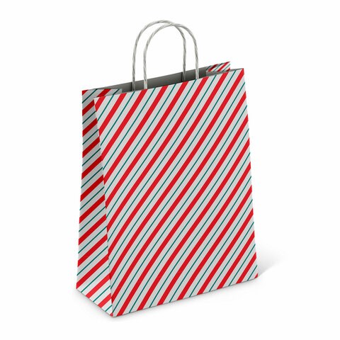 Крафт-пакет бумажный "Узкая полоса" 26х15х35 см, с кручеными ручками, плотность 100 г/м2, белый, 113228 701007