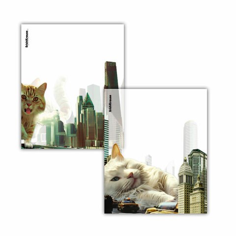 Обложки ПП для тетрадей и дневников ERICH KRAUSE "Big City Cats", КОМПЛЕКТ 12 шт., 80 мкм, 212х347 мм, 63508 273962