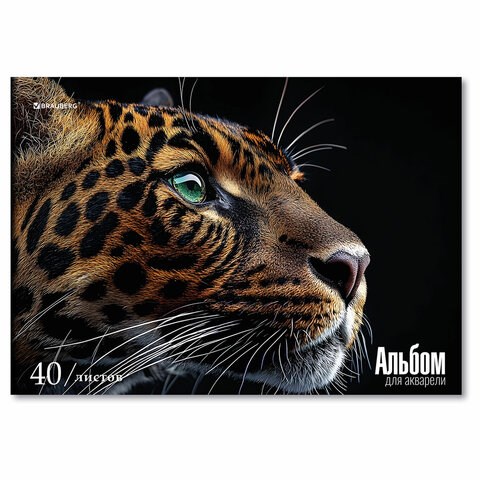 Альбом для акварели А4, 40 л., бумага 200 г/м2, склейка, обложка картон, BRAUBERG, "Леопард", 107130 107130