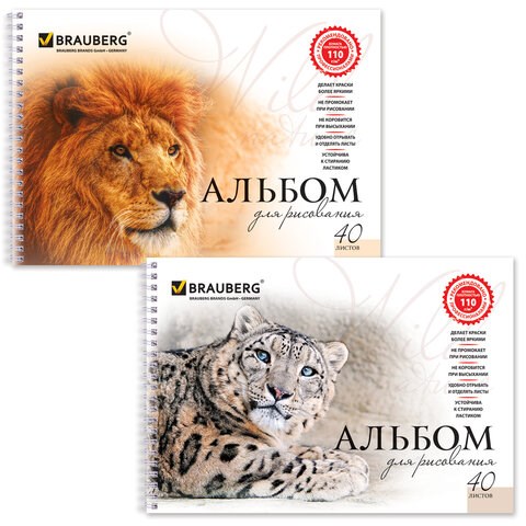 Альбом для рисования, А4, 40 листов, гребень, обложка картон, BRAUBERG, 205х290 мм, "Благородные кошки" (2 вида), 102831 102831