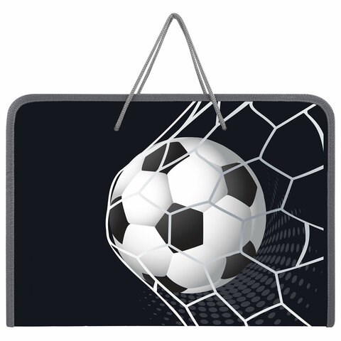 Папка для труда на молнии с ручками ПИФАГОР А4, 1 отделение, пластик, органайзер, "Ball kick", 272229 272229