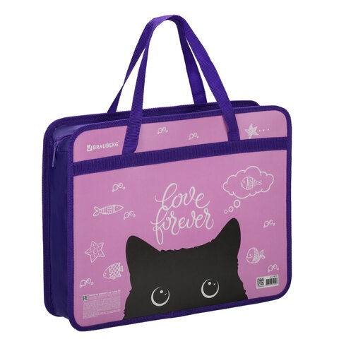 Папка на молнии с ручками BRAUBERG А4, 1 отделение, пластик, 80 мм, "Black Cat", 270122 270122