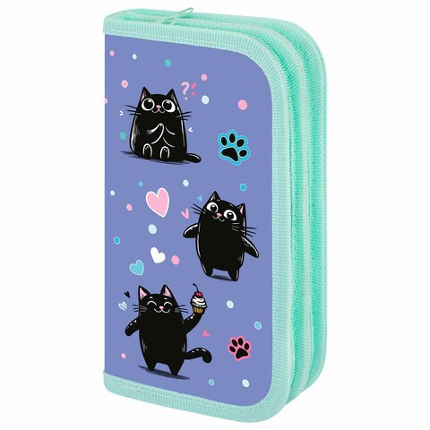 Пенал ПИФАГОР, 2 отделения, ламинированный картон, 19х11 см, "Funny cats", 273481 273481