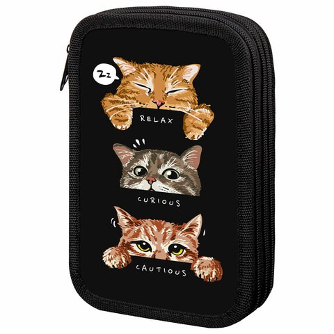 Пенал ПИФАГОР, 3 отделения, ламинированный картон, 19х11 см, "Cool trio", 273486 273486