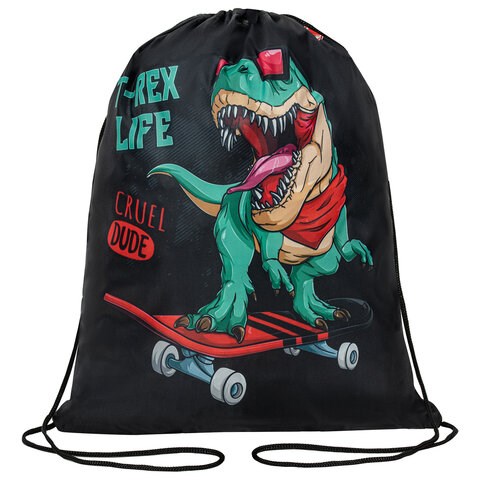 Мешок для обуви ПИФАГОР, 1 отделение, 40х32 см, "T-Rex", 271606 271606