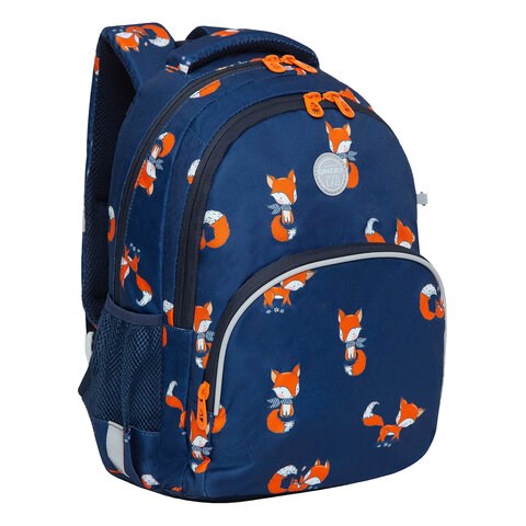 Рюкзак GRIZZLY школьный, анатомическая спинка, с пеналом в комплекте, для девочек, "FOXES", 40х27х20 см, RG-260-6/1 271222