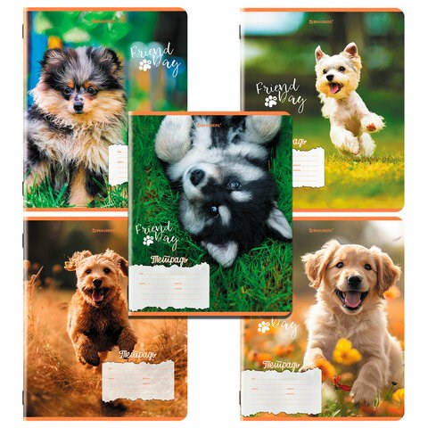 Тетрадь 18 л. BRAUBERG клетка, обложка картон, СОБАЧКИ, 107295 107295