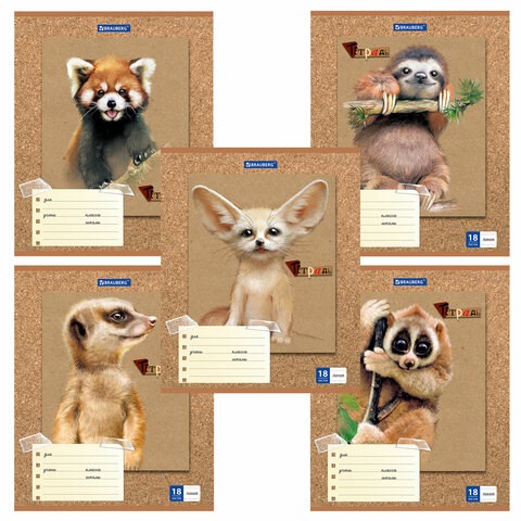 Тетрадь 18 л. BRAUBERG линия, обложка картон, "МИЛЫЕ ЗВЕРУШКИ", 403580 403580