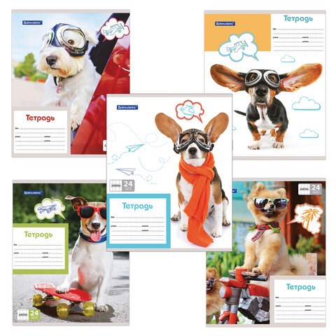 Тетрадь 24 л. BRAUBERG, клетка, обложка картон, MY BEST FRIEND, 403007 403007