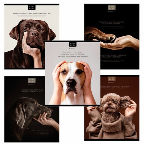 Тетрадь А5 48 л. ПЗБМ, скоба, клетка, конгрев, TWIN-лак, "Посмотри на меня" (микс в спайке), 23805 405344