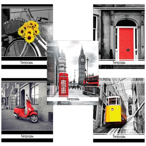 Тетрадь А5, 48 л., BRAUBERG скоба, клетка, обложка картон, АКЦЕНТ, 403032 403032