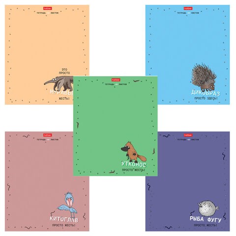 Тетрадь А5, 48 л., HATBER скоба, клетка, матовая ламинация, "Необычные герои" (микс в спайке), 088437, 48Т5лтВ1 405278