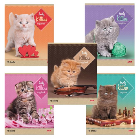 Тетрадь А5, 48 л., HATBER, скоба, линия, обложка картон, "КОТЯТА" (микс в спайке), 047012, 48Т5В2 402904