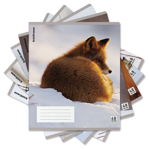 Тетрадь обложка пластик, А5, 48 л., скоба, клетка, ERICH KRAUSE, "Лисы" (микс в спайке), 60693 405269