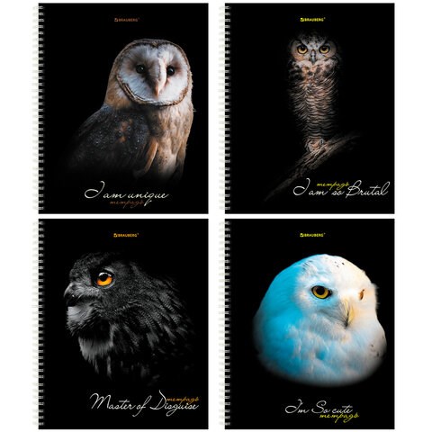 Тетрадь А5 96 л. BRAUBERG, гребень, клетка, твёрдая обложка, "Совы" (микс в спайке), 404443 404443