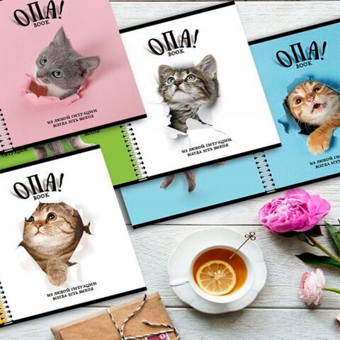 Тетрадь А5 96 л. ПЗБМ, гребень, клетка/линия, выборочный лак, перевёртыш, "Опа!" (5 видов), 028558 404335