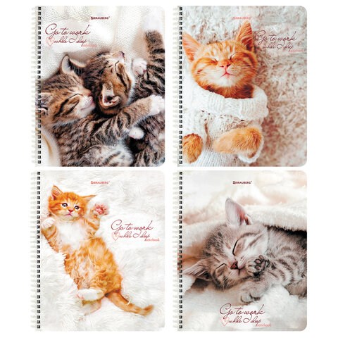 Тетрадь А5, 96 л., BRAUBERG, гребень, клетка, обложка картон, "Котики" (микс в спайке), 404425 404425
