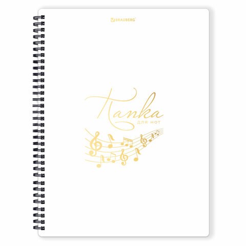 Папка-тетрадь для нот А4, 20 вкладышей на 40 страниц, на гребне, пластик, БЕЛАЯ, BRAUBERG, 404644 404644