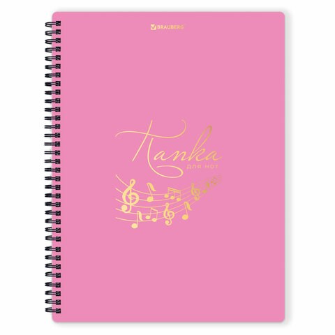 Папка-тетрадь для нот А4, 20 вкладышей на 40 страниц, на гребне, пластик, РОЗОВАЯ, BRAUBERG, 404642 404642