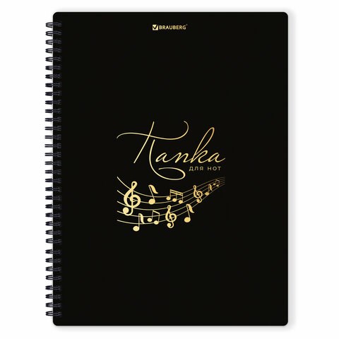 Папка-тетрадь для нот А4, 20 вкладышей на 40 страниц, на гребне, пластик, ЧЕРНАЯ, BRAUBERG, 404643 404643