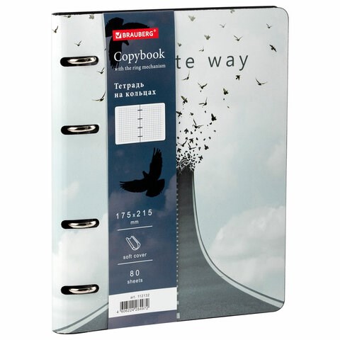 Тетрадь на кольцах А5 (180х220 мм), 80 листов, под кожу, клетка, BRAUBERG VISTA, Infinite way, 112132 112132