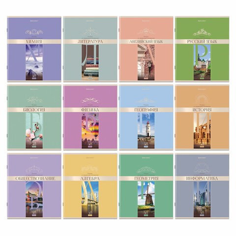 Тетради предметные, КОМПЛЕКТ 12 ПРЕДМЕТОВ, 48 л., обложка картон, BRAUBERG, "DELIGHT", 404606 404606