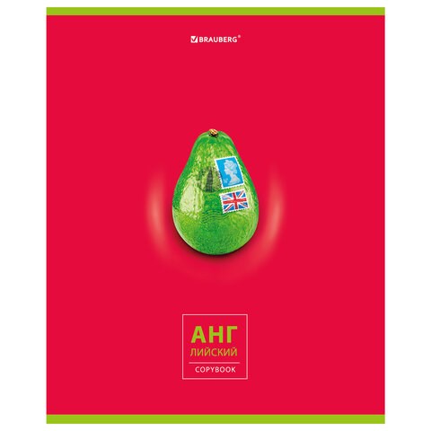 Тетрадь предметная "AVOCADO" 48 л., глянцевый лак, АНГЛИЙСКИЙ ЯЗЫК, клетка, BRAUBERG, 404275 404275