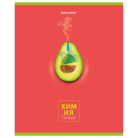 Тетрадь предметная "AVOCADO" 48 л., глянцевый лак, ХИМИЯ, клетка, BRAUBERG, 404284 404284