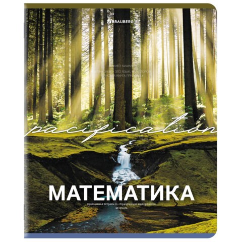 Тетрадь предметная КЛАССИКА ПРИРОДА 48 л., обложка картон, МАТЕМАТИКА, клетка, подсказ, BRAUBERG, 405095 405095