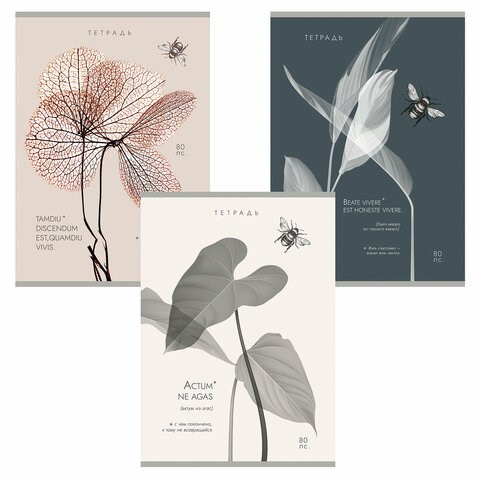 Тетрадь А4 80 л. ПЗБМ, скоба, клетка, Soft Touch, брайль, "Латынь" (микс в спайке), 23430 405341