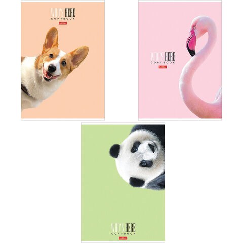 Тетрадь А4 96 л. HATBER скоба, клетка, матовая ламинация, "Кто здесь?" (микс), 066192, 96Т4лВ1 113128