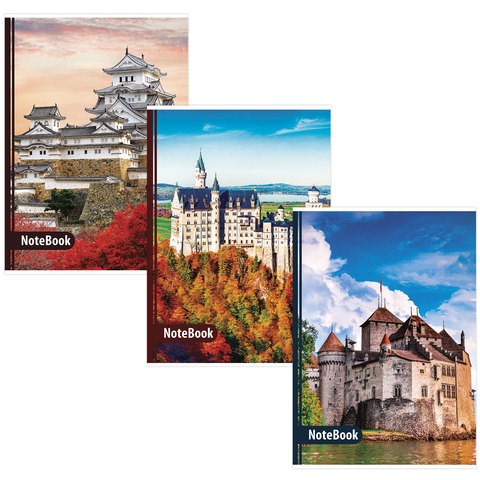 Тетрадь А4, 96 л., BRAUBERG скоба, клетка, обложка картон, ЗАМКИ, 403070 403070