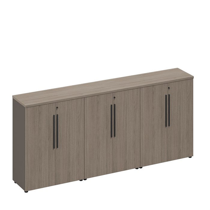 Шкаф для документов закрытый средний (стенка из 3 шкафов) 210209