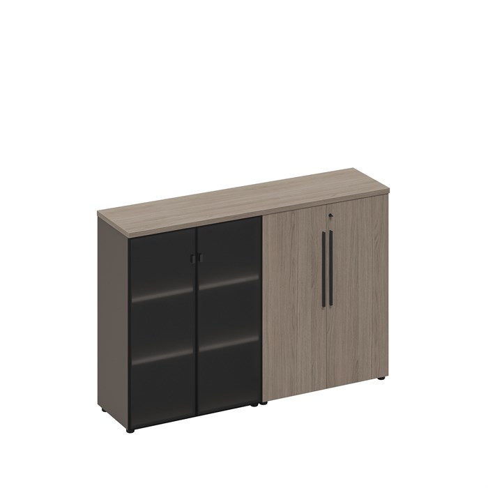 Шкаф комбинированный средний (стекло-закрытый) 210207