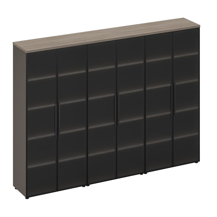 Шкаф для документов со стеклянными высокими дверями 210229