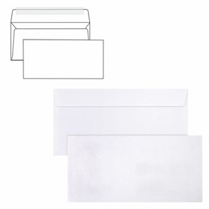 {{photo.Alt || photo.Description || 'Конверты Е65 (110х220 мм), отрывная лента, 80 г/м2, КОМПЛЕКТ 25 шт., внутренняя запечатка, BRAUBERG, 122449'}}